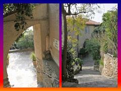 183 D24 BORMES LES MIMOSAS 2_000027
